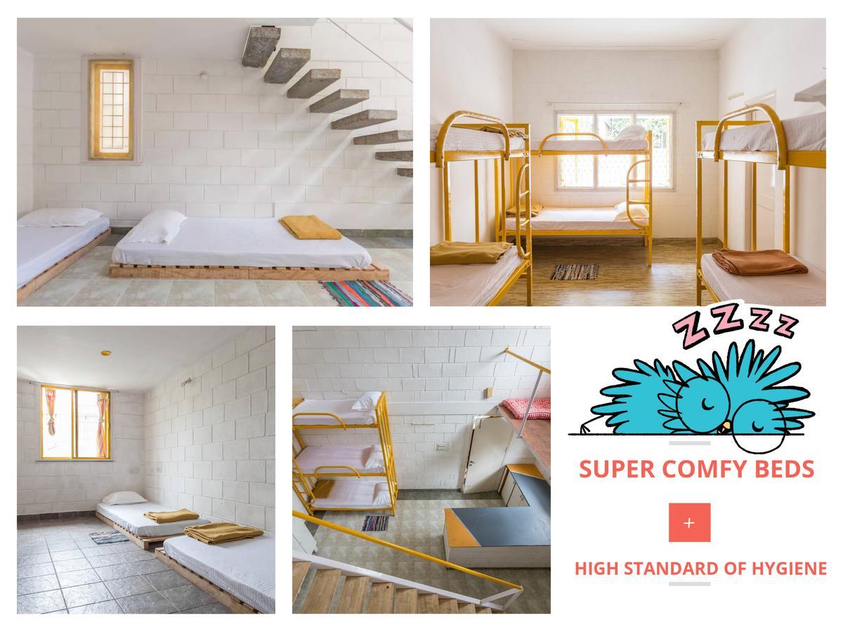 Cuckoo Hostel 벵갈루루 외부 사진